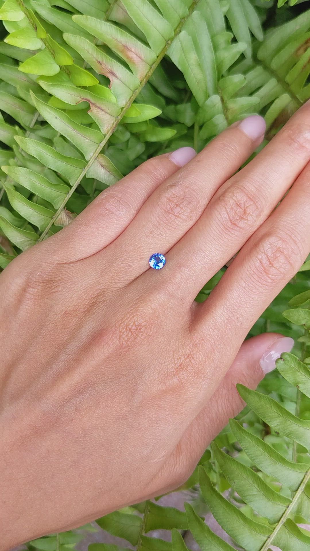 0.47 Ct. Blue Sapphire from Ceylon (Sri Lanka) Size Video