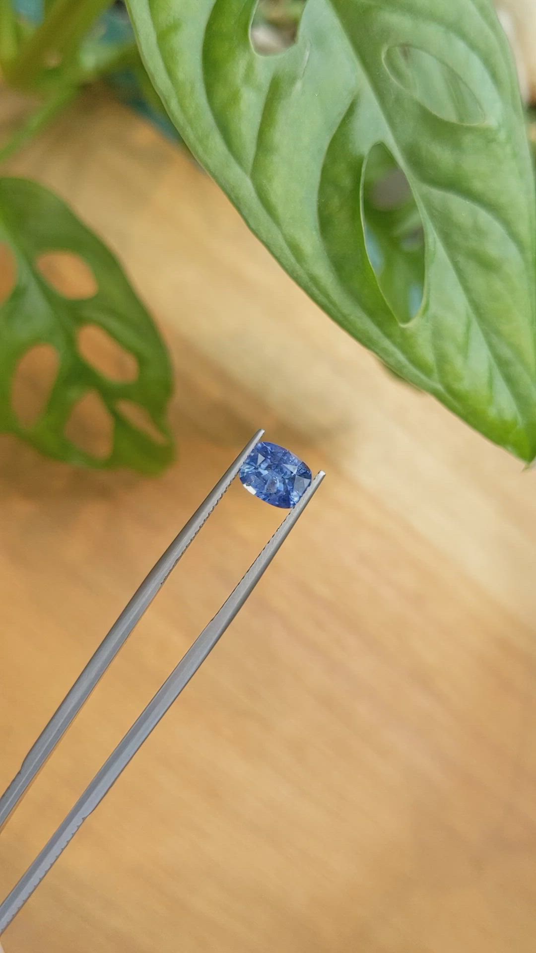 1.55 Ct. Blue Sapphire from Ceylon (Sri Lanka) Size Video