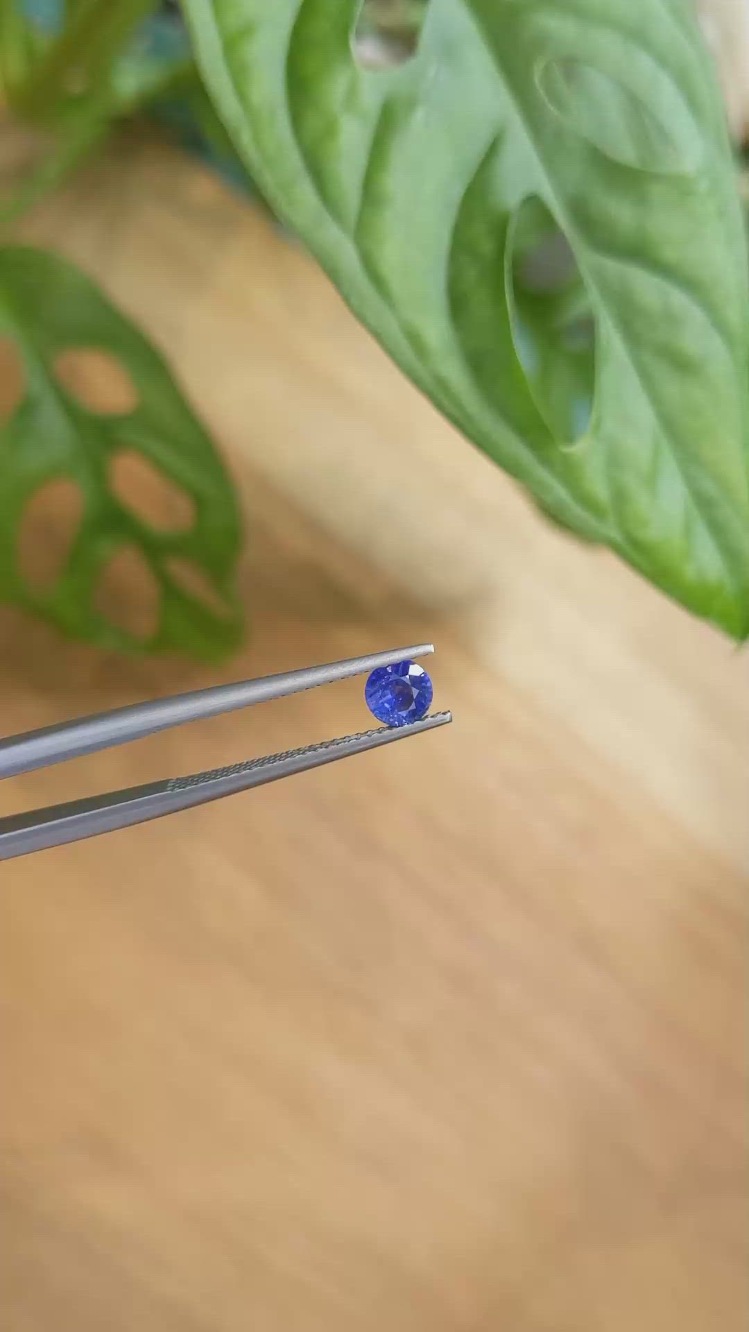 0.48 Ct. Blue Sapphire from Ceylon (Sri Lanka) Size Video