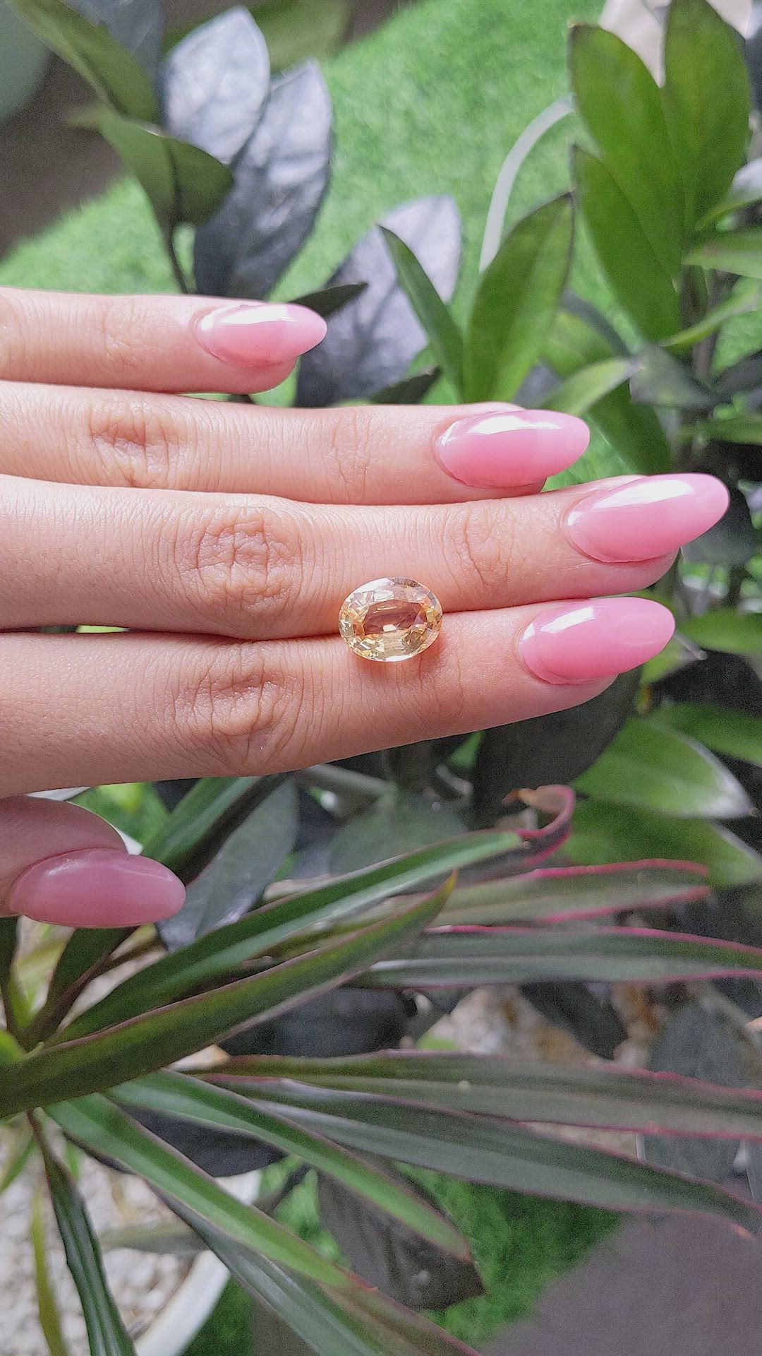 6.16 Ct. Peach Sapphire from Ceylon (Sri Lanka) Size Video