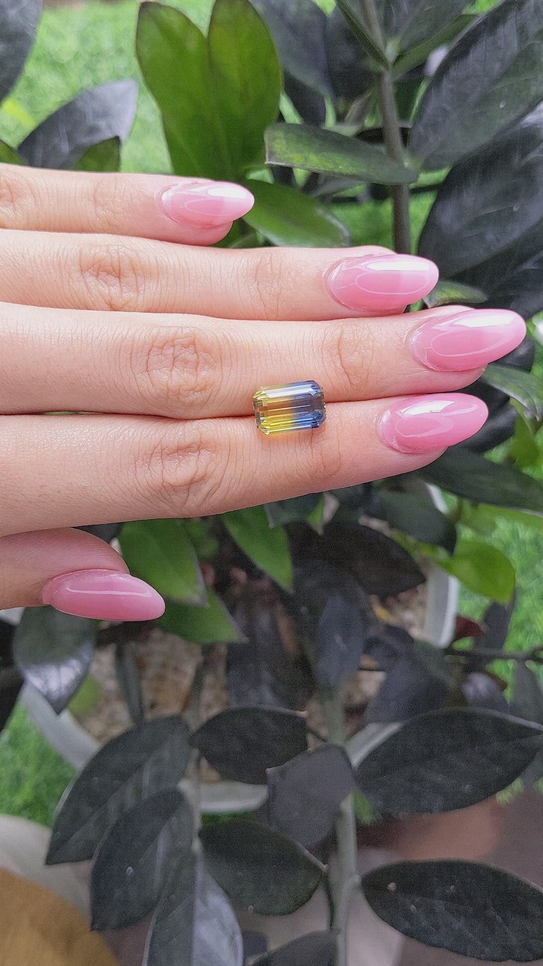 8.60 Ct. Bi Color Sapphire from Ceylon (Sri Lanka) Size Video