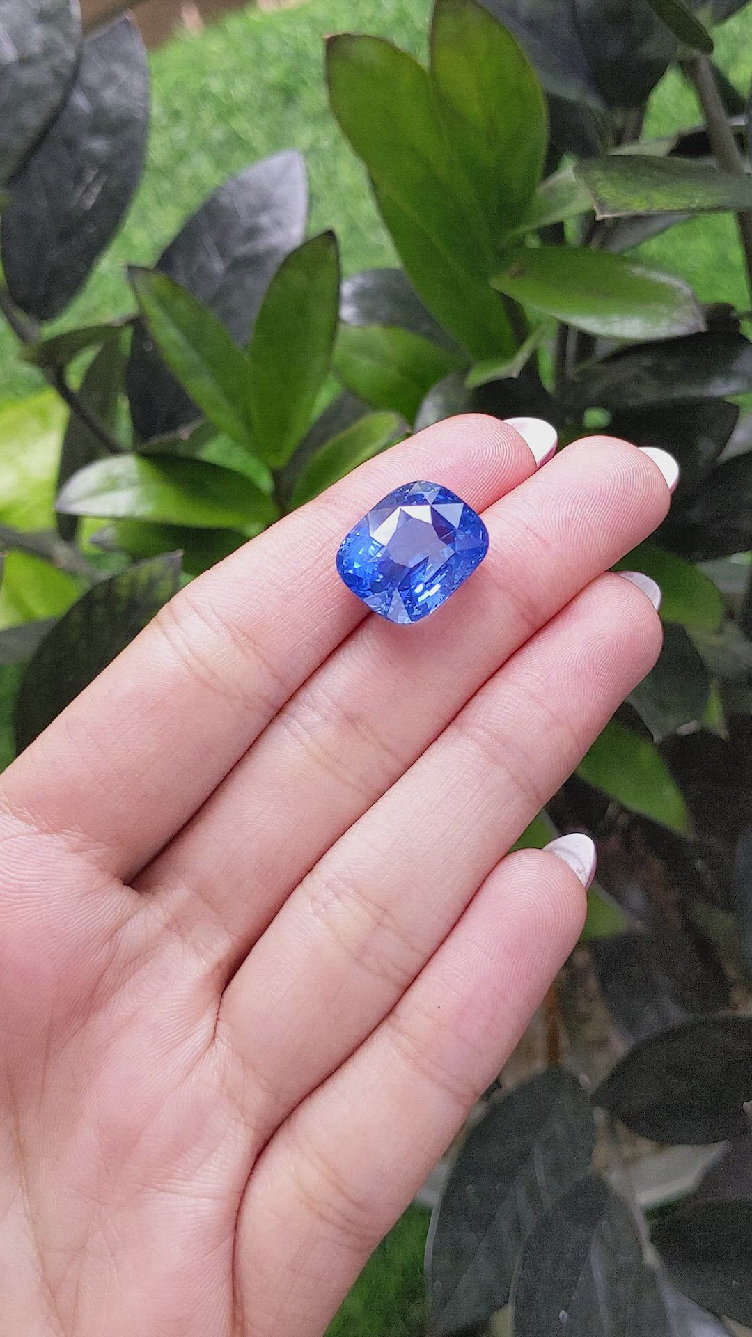 23.06 Ct. Blue Sapphire from Ceylon (Sri Lanka) Size Video
