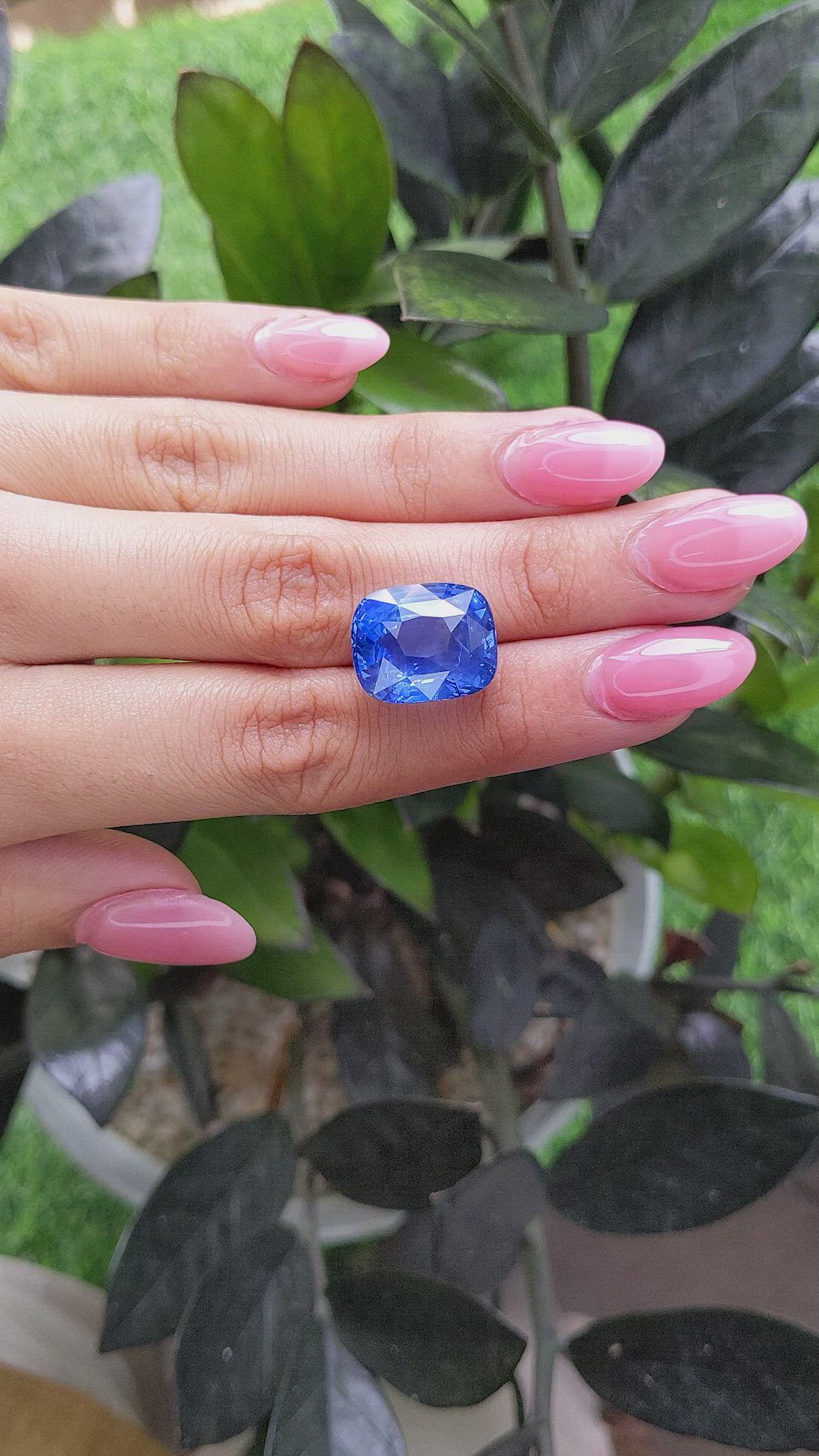 23.06 Ct. Blue Sapphire from Ceylon (Sri Lanka) Size Video