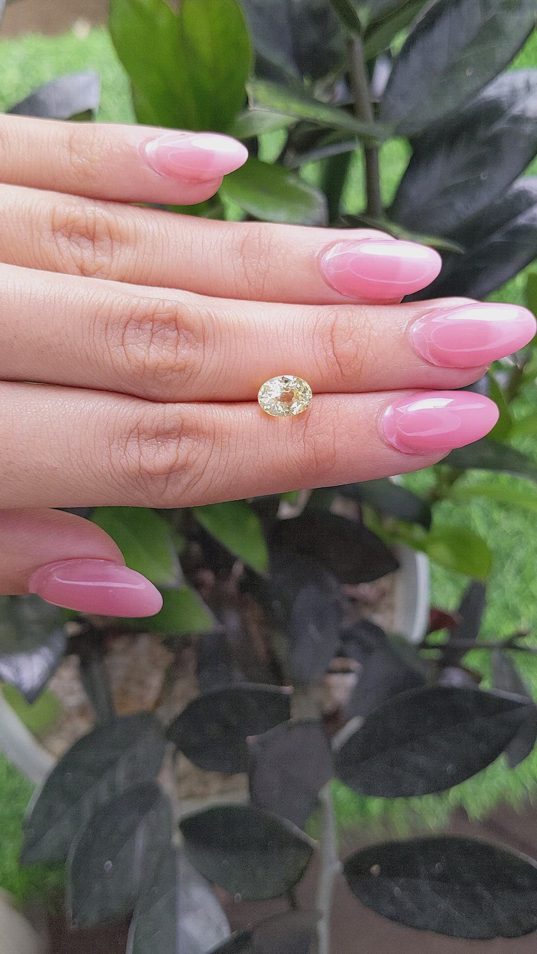 2.40 Ct. Yellow Sapphire from Ceylon (Sri Lanka) Size Video