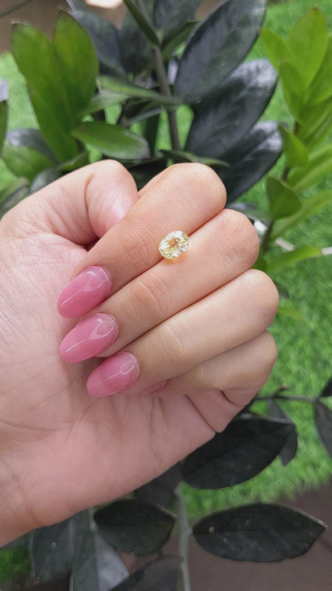 2.40 Ct. Yellow Sapphire from Ceylon (Sri Lanka) Size Video