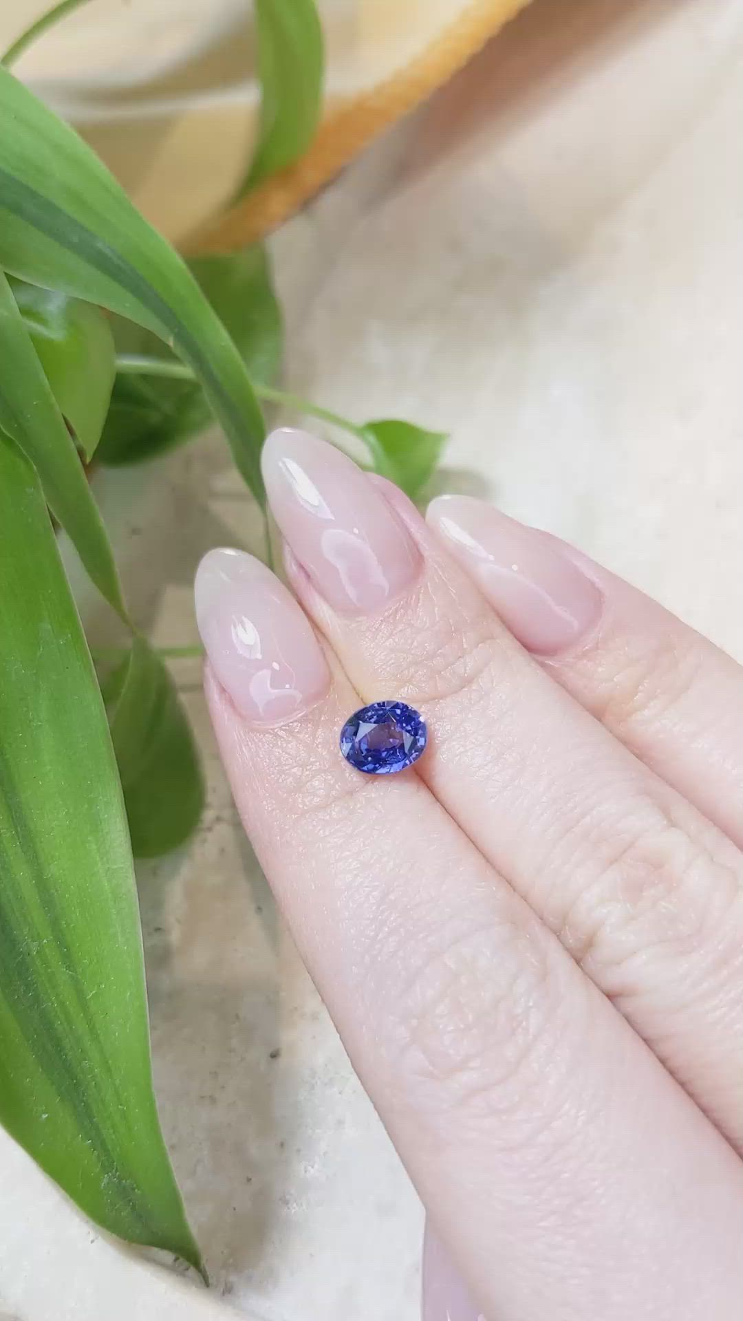 1.64 Ct. Blue Sapphire from Ceylon (Sri Lanka) Size Video