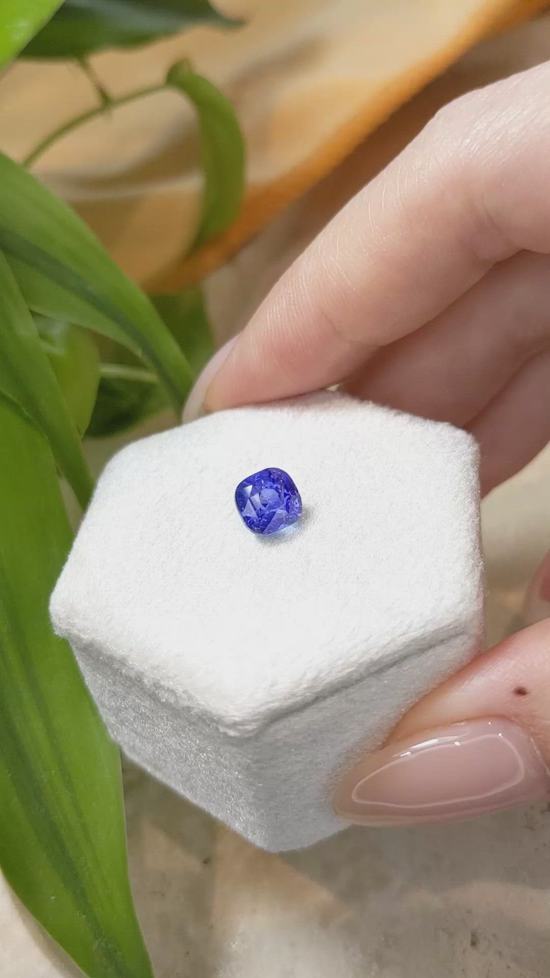 2.57 Ct. Blue Sapphire from Ceylon (Sri Lanka) Size Video