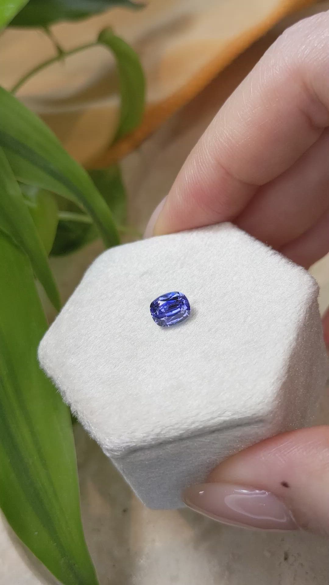 1.56 Ct. Blue Sapphire from Ceylon (Sri Lanka) Size Video