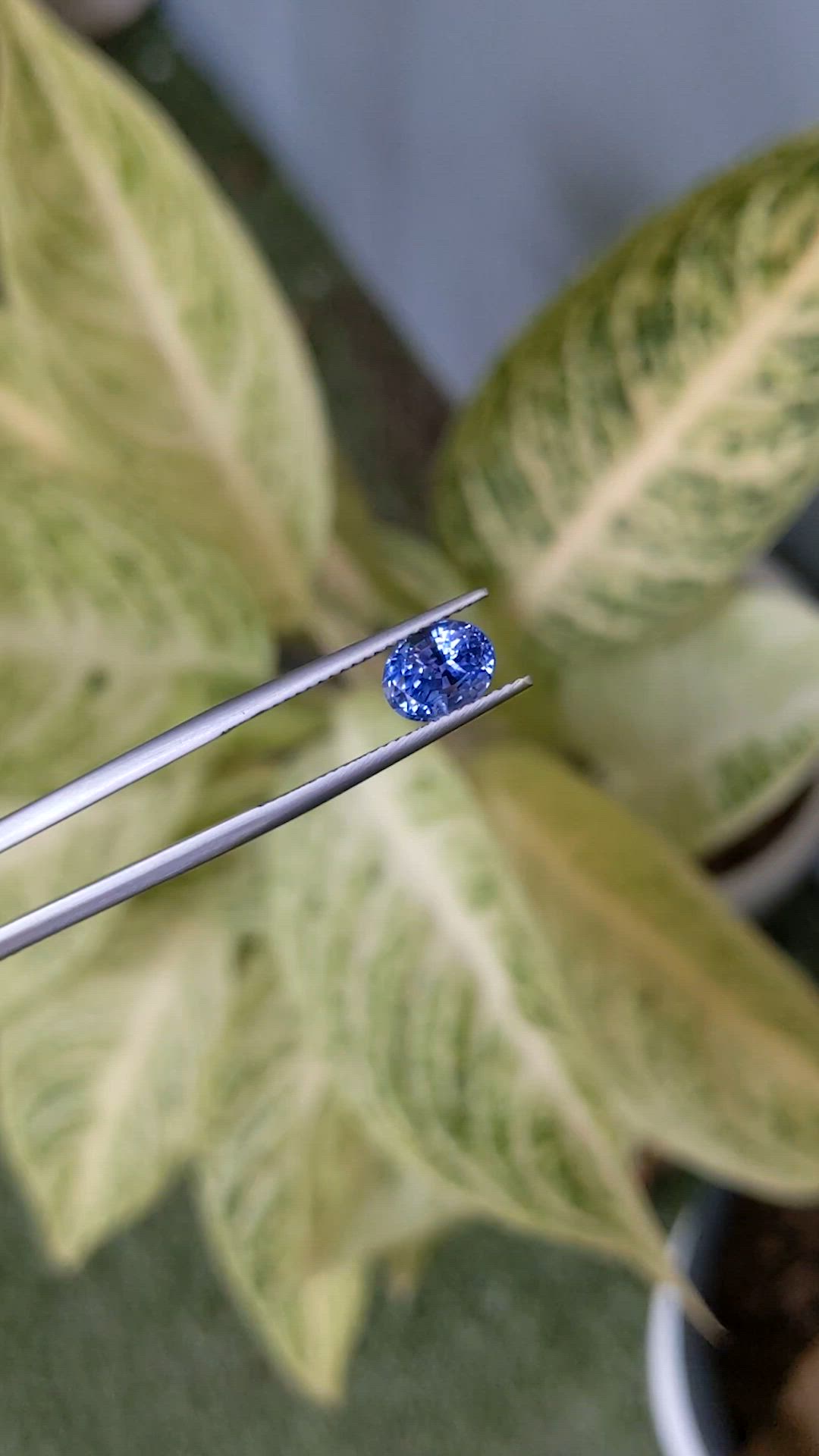 2.22 Ct. Blue Sapphire from Ceylon (Sri Lanka) Size Video