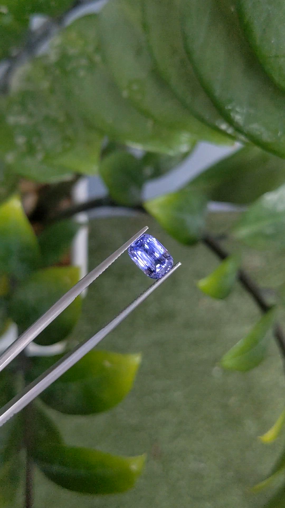 2.50 Ct. Blue Sapphire from Ceylon (Sri Lanka) Size Video
