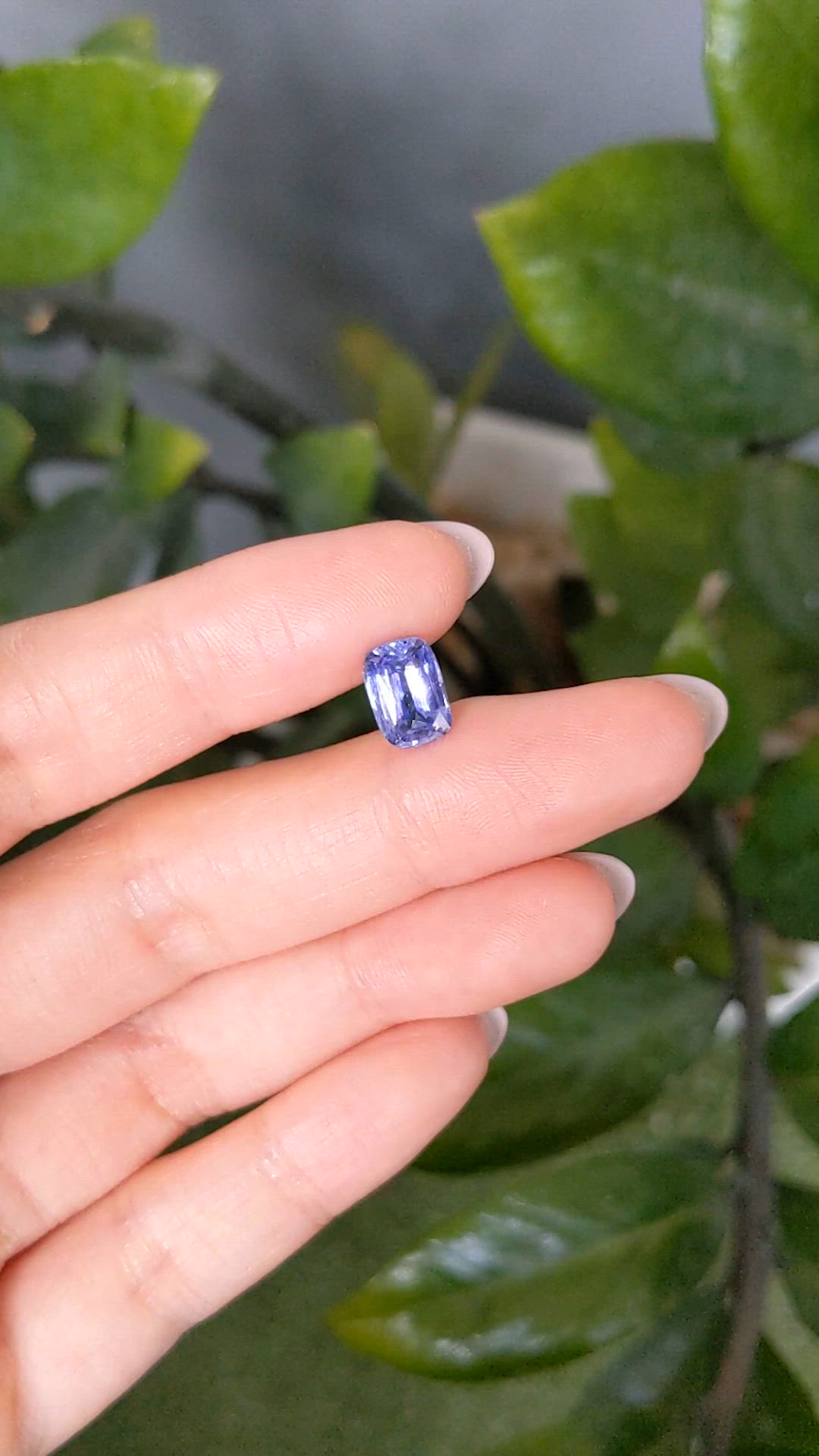 2.50 Ct. Blue Sapphire from Ceylon (Sri Lanka) Size Video