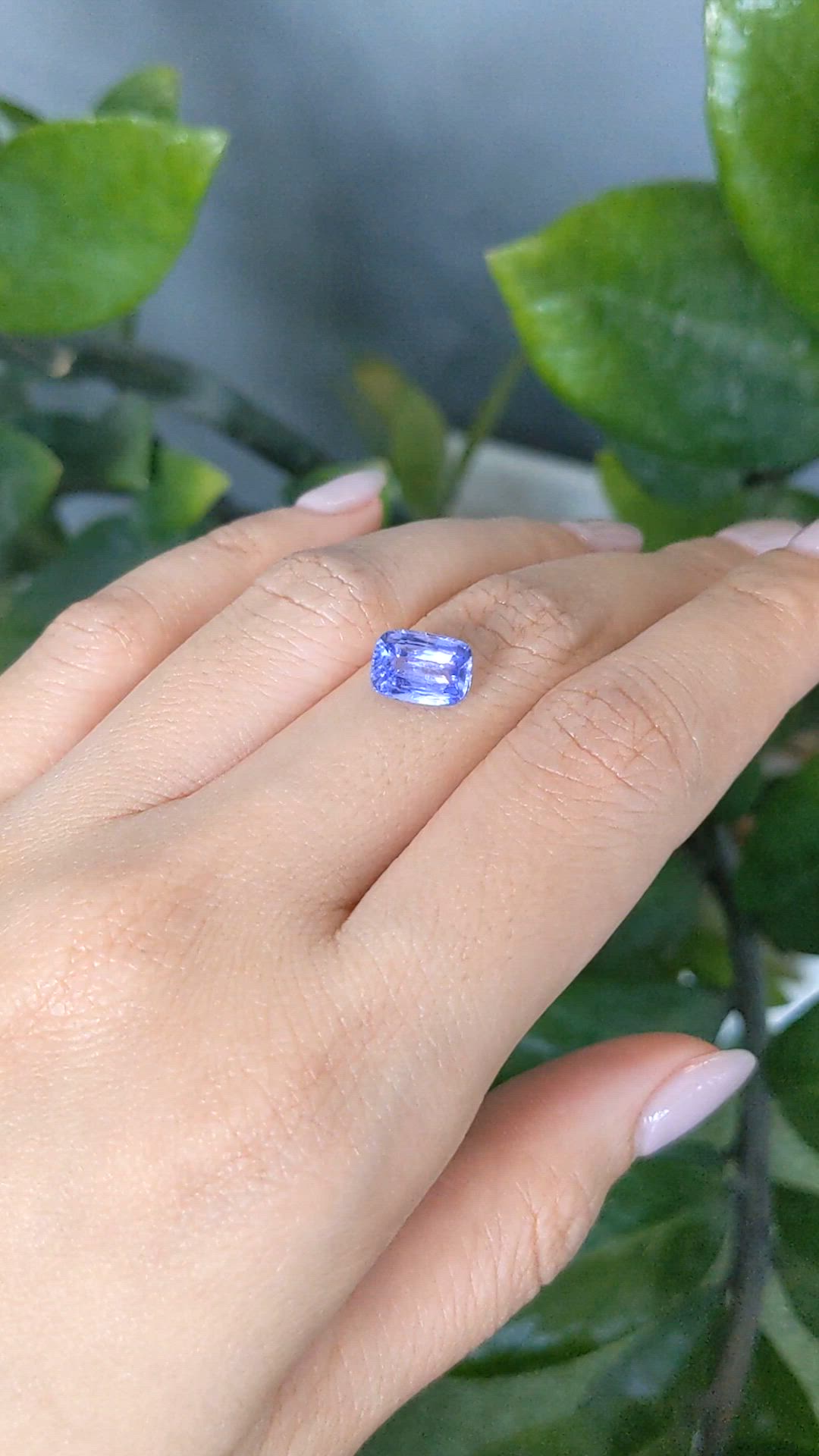 2.50 Ct. Blue Sapphire from Ceylon (Sri Lanka) Size Video