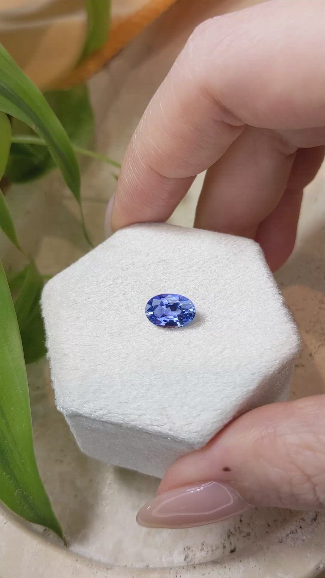 1.81 Ct. Blue Sapphire from Ceylon (Sri Lanka) Size Video
