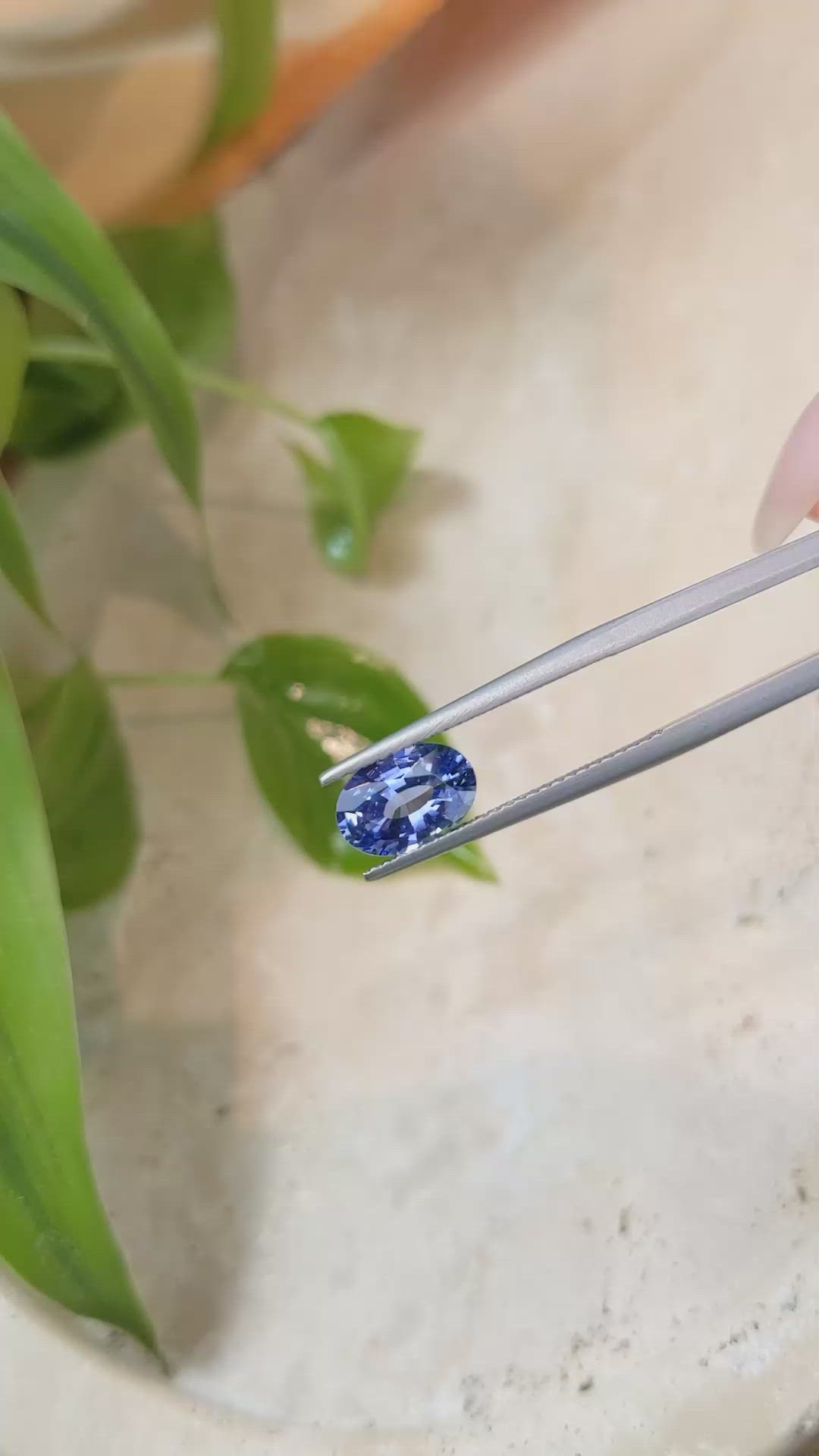 1.81 Ct. Blue Sapphire from Ceylon (Sri Lanka) Size Video