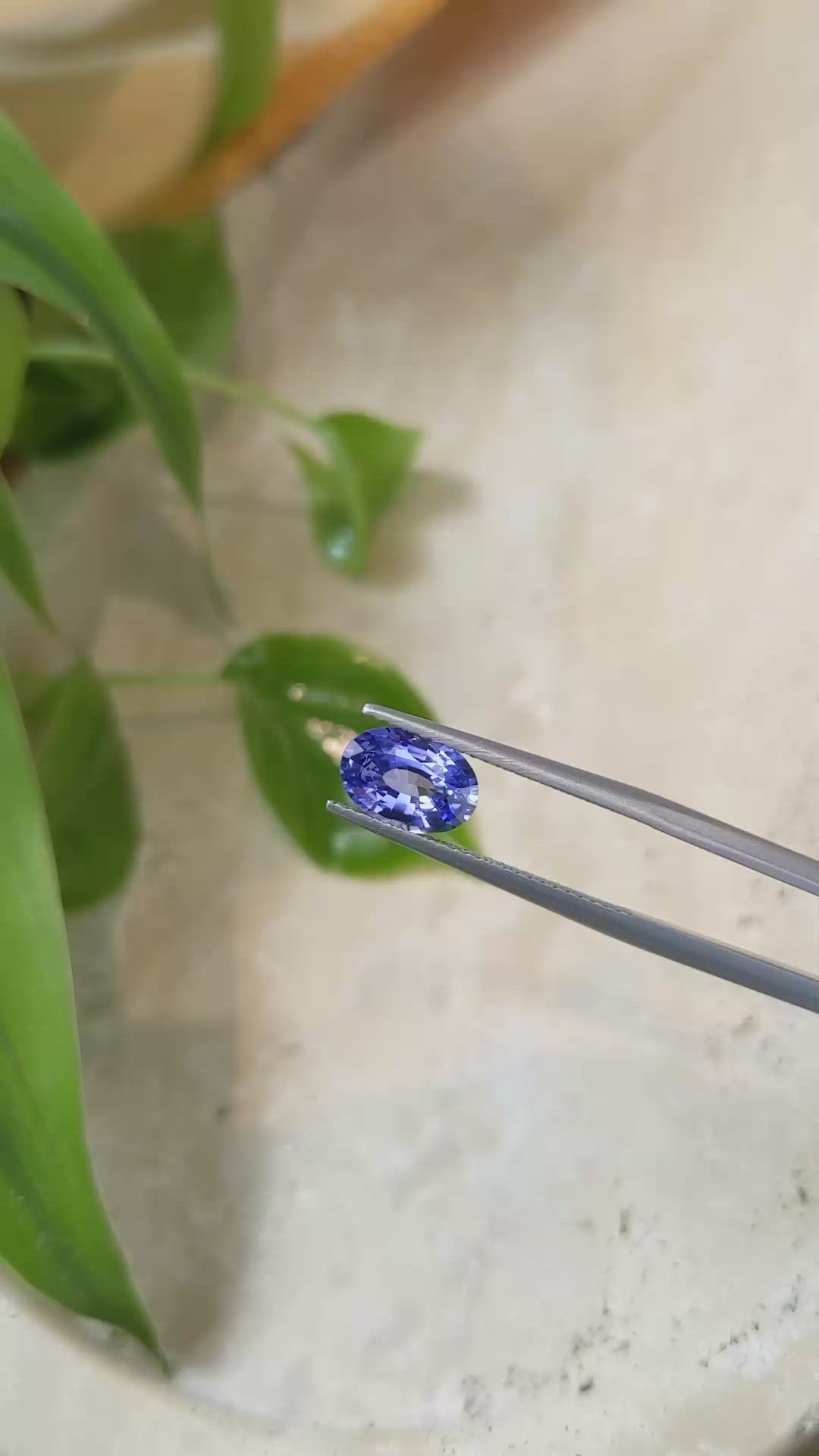 1.81 Ct. Blue Sapphire from Ceylon (Sri Lanka) Size Video
