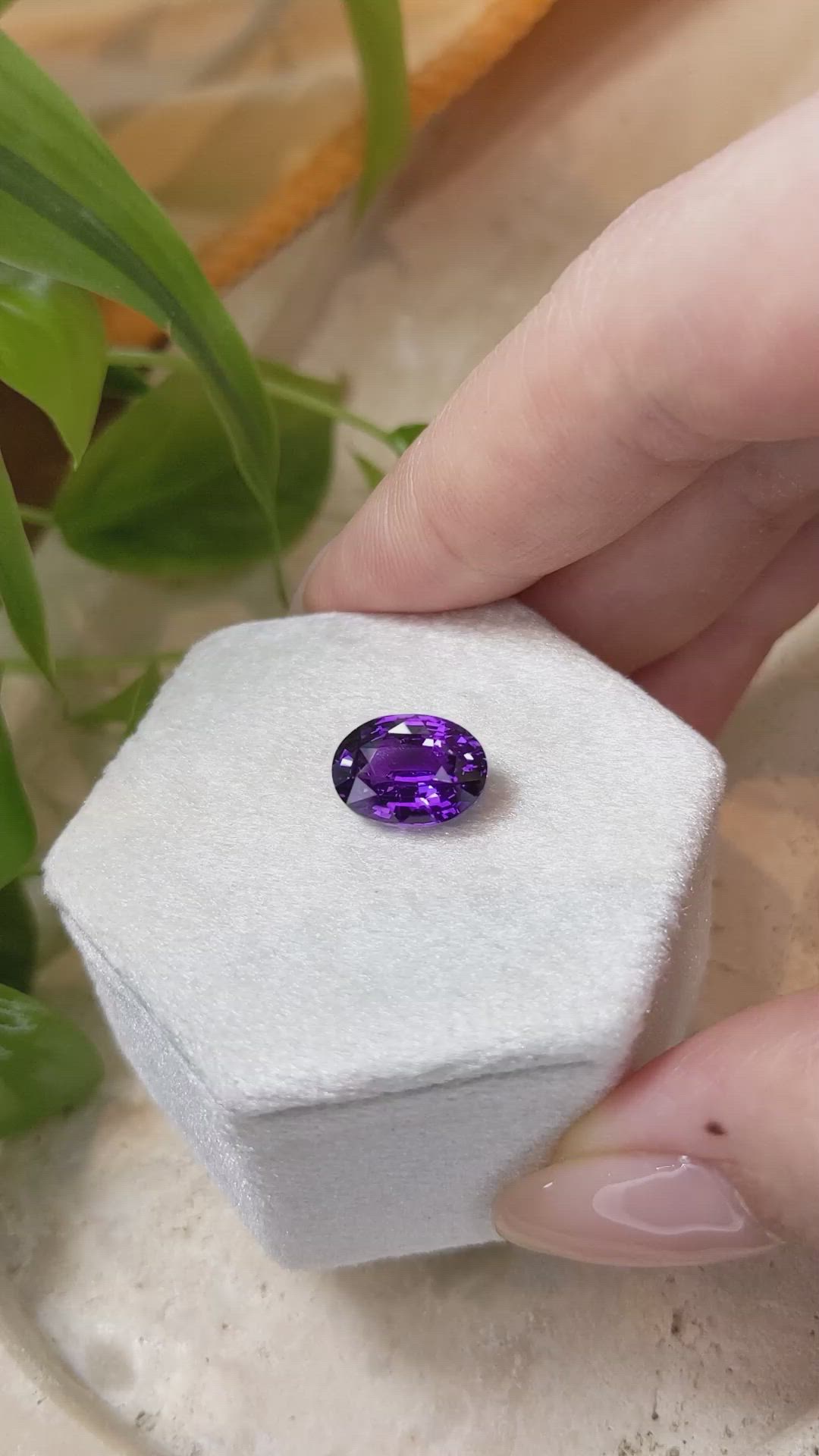 5.00 Ct. Purple Sapphire from Ceylon (Sri Lanka) Size Video
