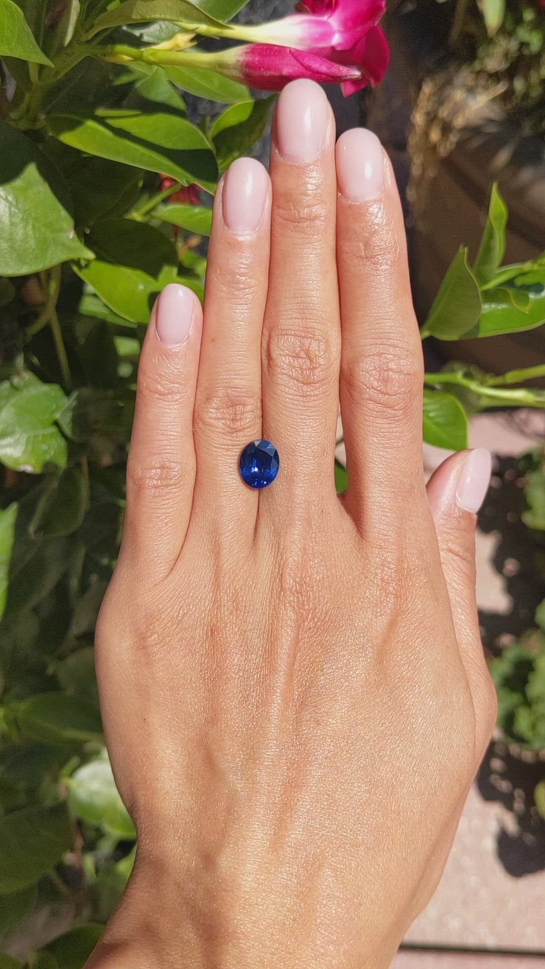 3.82 Ct. Blue Sapphire from Ceylon (Sri Lanka) Size Video