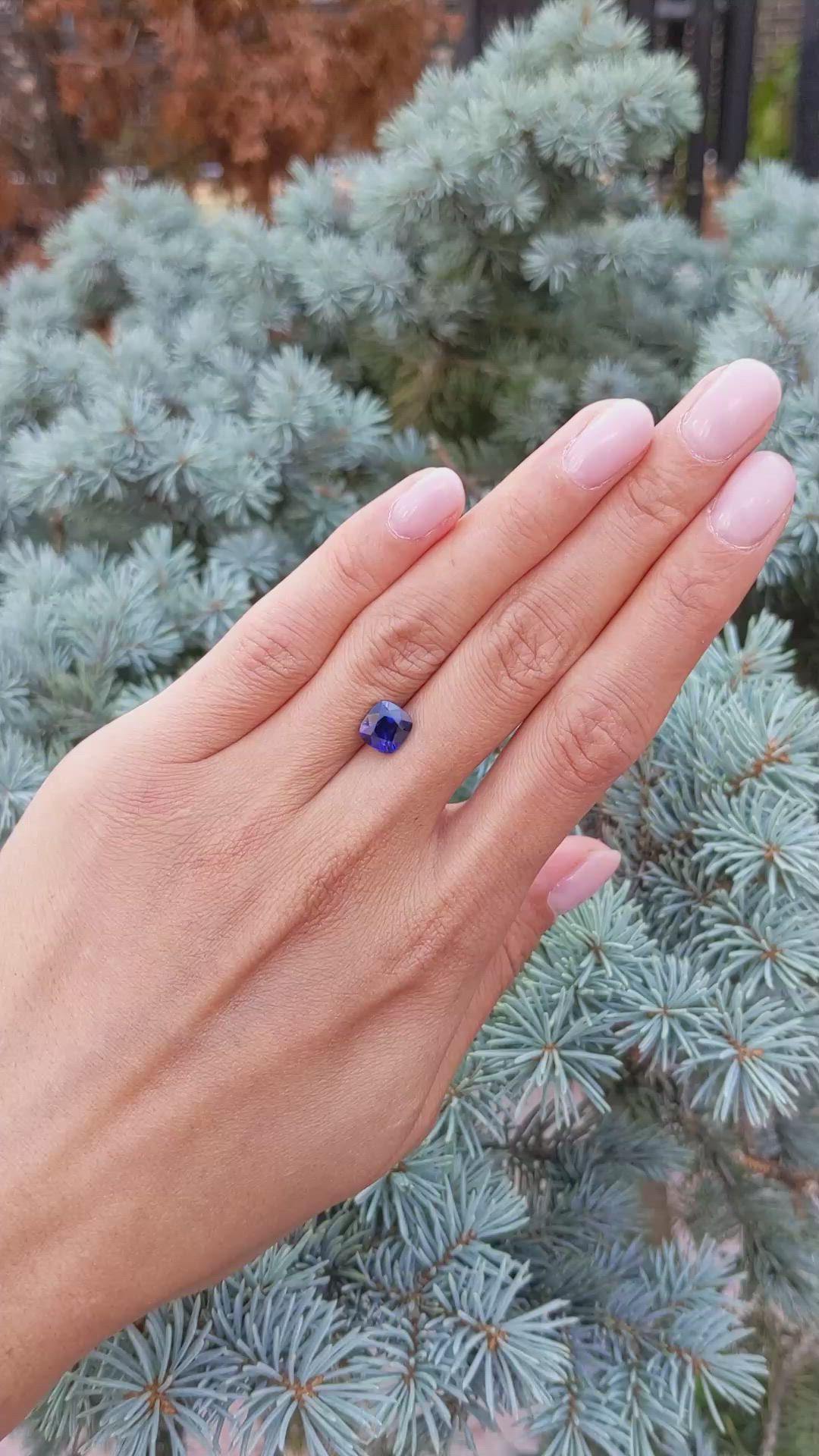 2.62 Ct. Blue Sapphire from Ceylon (Sri Lanka) Size Video