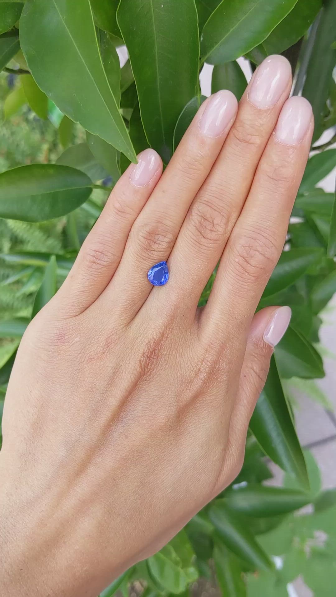 2.03 Ct. Blue Sapphire from Ceylon (Sri Lanka) Size Video