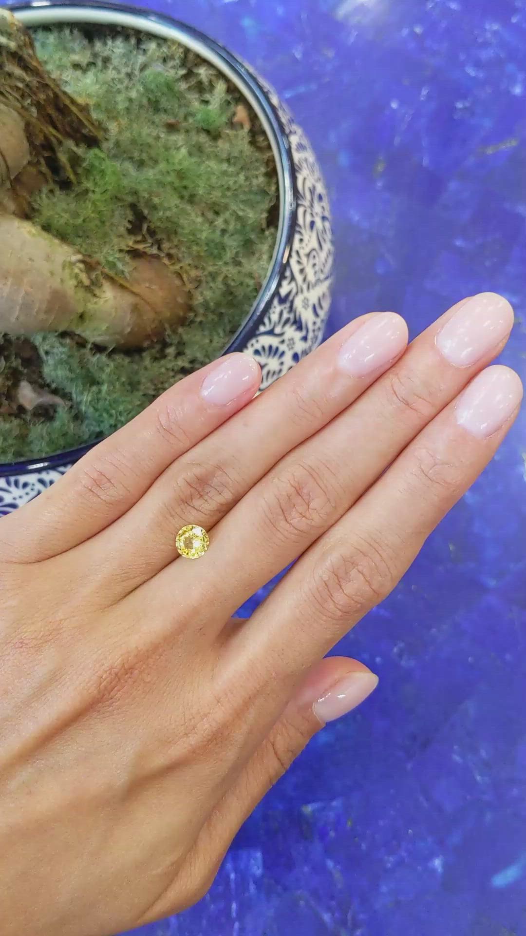 1.15 Ct. Yellow Sapphire from Ceylon (Sri Lanka) Size Video