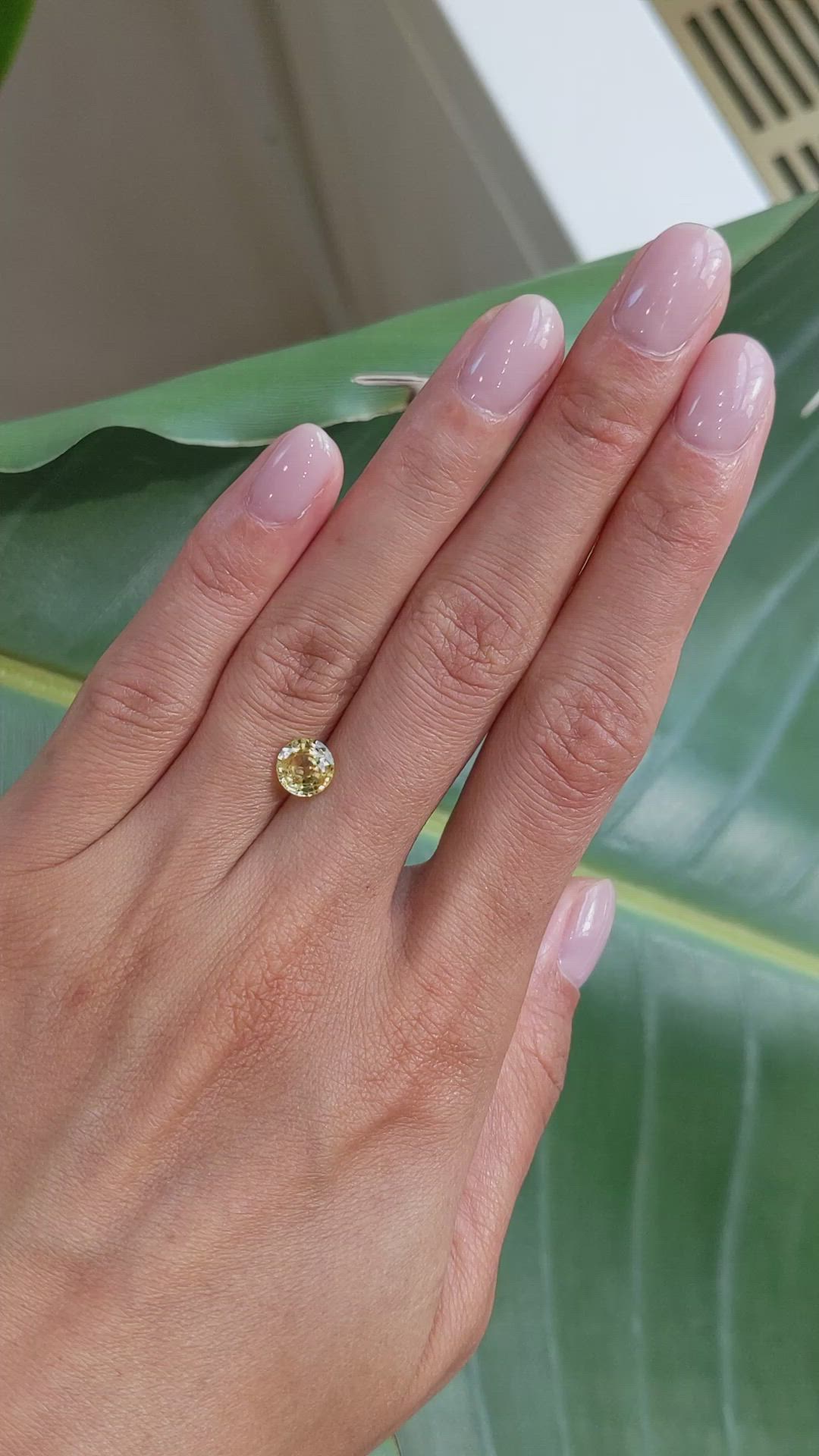 1.55 Ct. Yellow Sapphire from Ceylon (Sri Lanka) Size Video