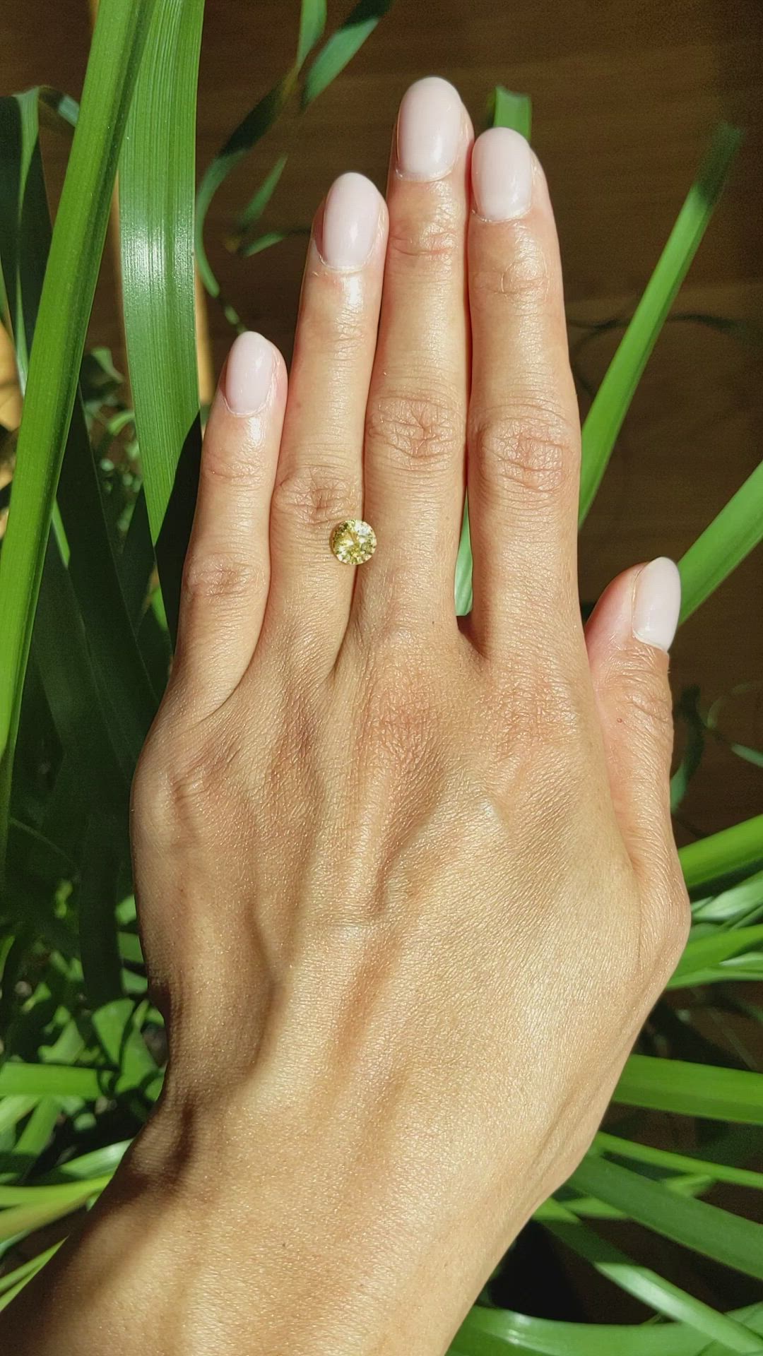 1.69 Ct. Yellow Sapphire from Ceylon (Sri Lanka) Size Video