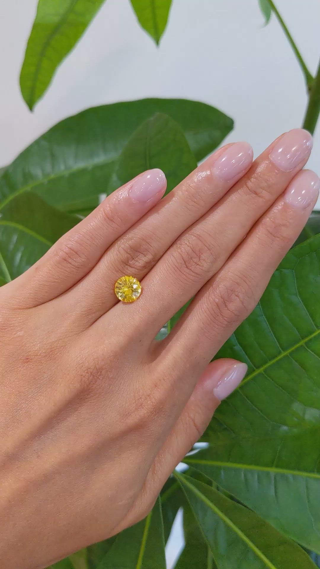 2.73 Ct. Yellow Sapphire from Ceylon (Sri Lanka) Size Video