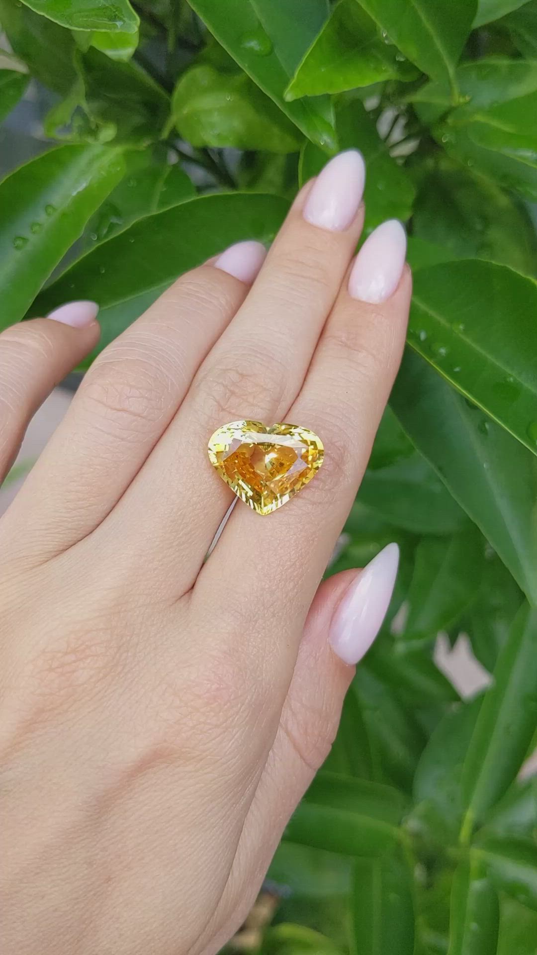 13.34 Ct. Yellow Sapphire from Ceylon (Sri Lanka) Size Video