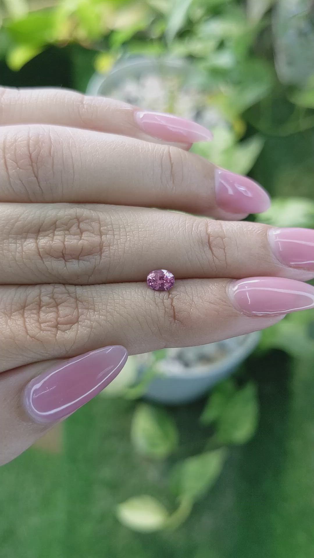0.49 Ct. Pink Sapphire from Ceylon (Sri Lanka) Size Video