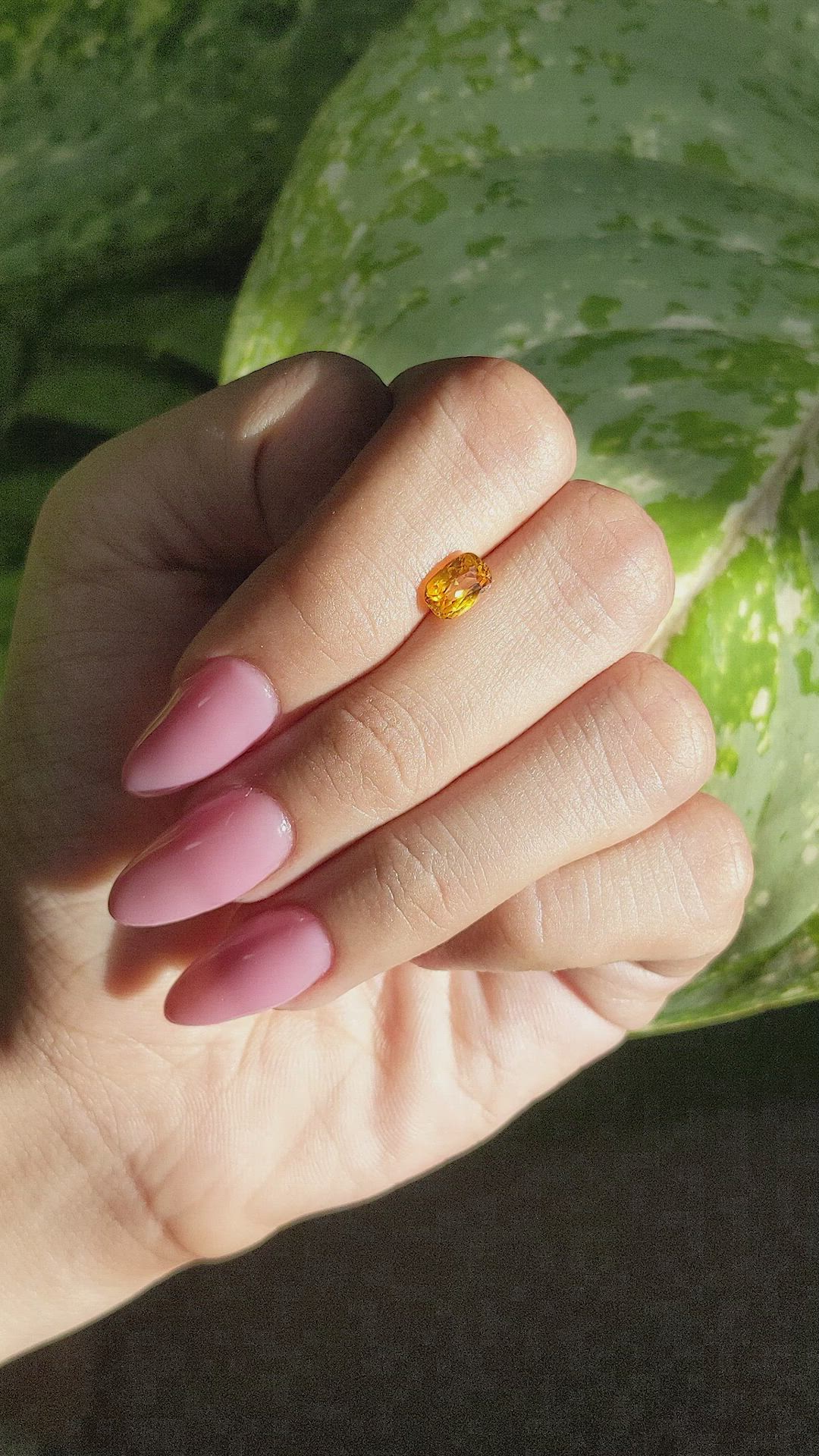 1.31 Ct. Yellow Sapphire from Ceylon (Sri Lanka) Size Video