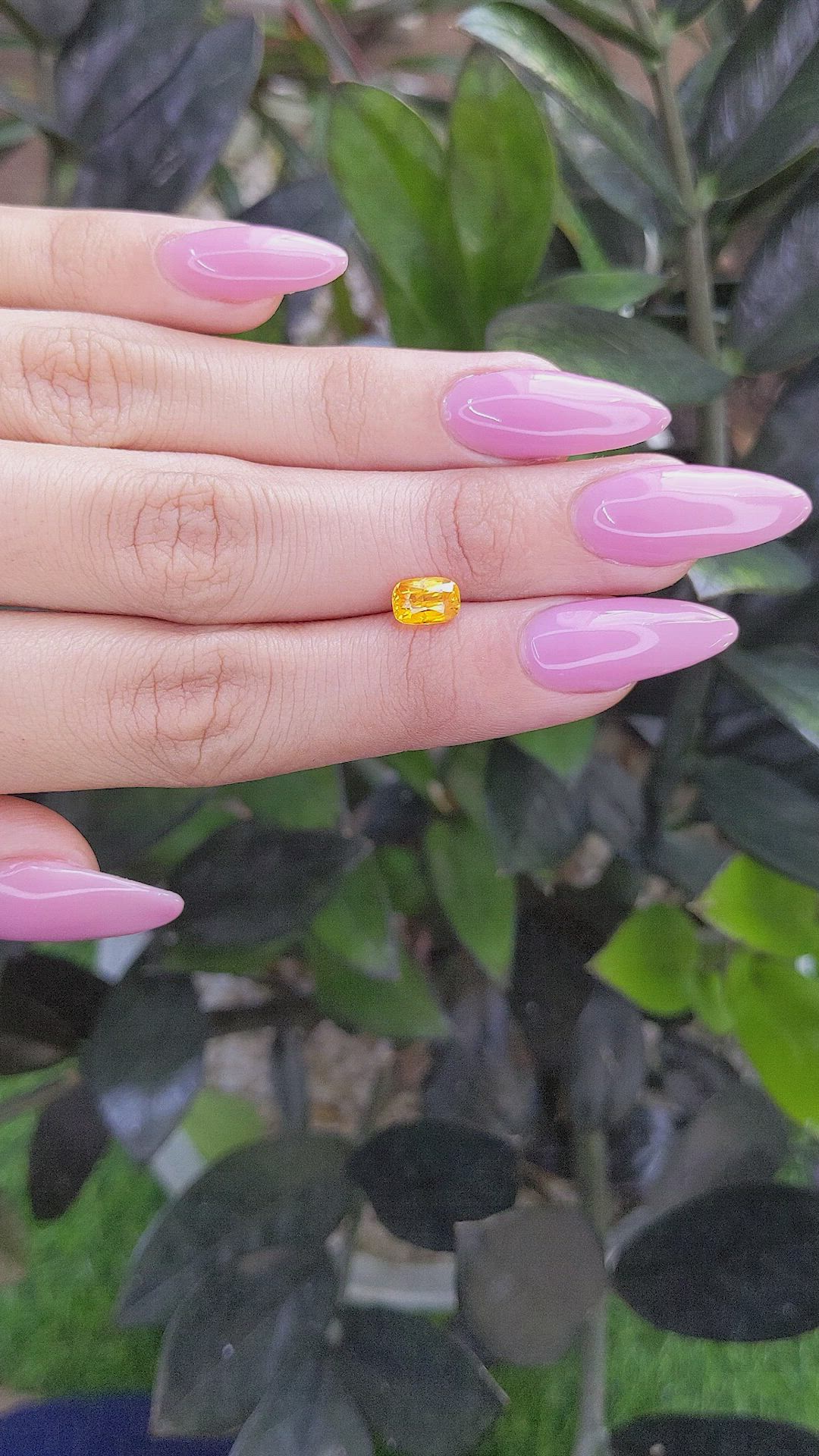 1.31 Ct. Yellow Sapphire from Ceylon (Sri Lanka) Size Video