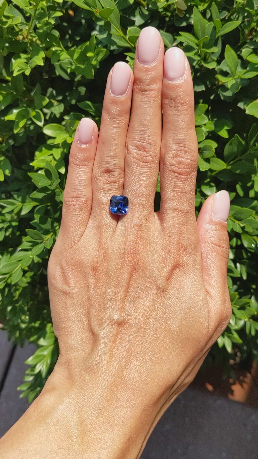 4.50 Ct. Blue Sapphire from Burma (Myanmar) Size Video