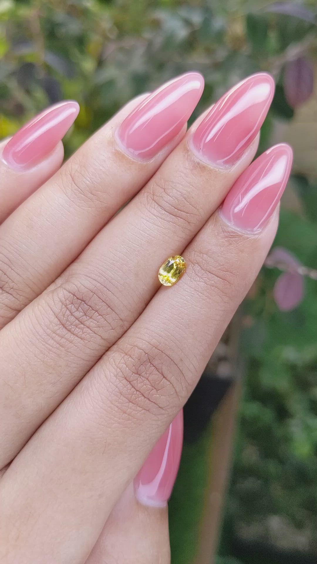 0.59 Ct. Yellow Sapphire from Ceylon (Sri Lanka) Size Video