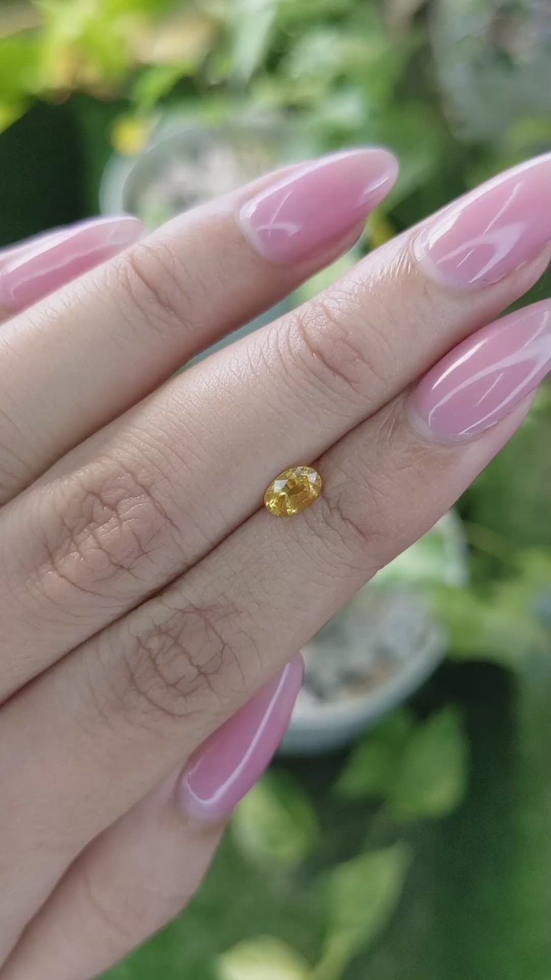0.58 Ct. Yellow Sapphire from Ceylon (Sri Lanka) Size Video