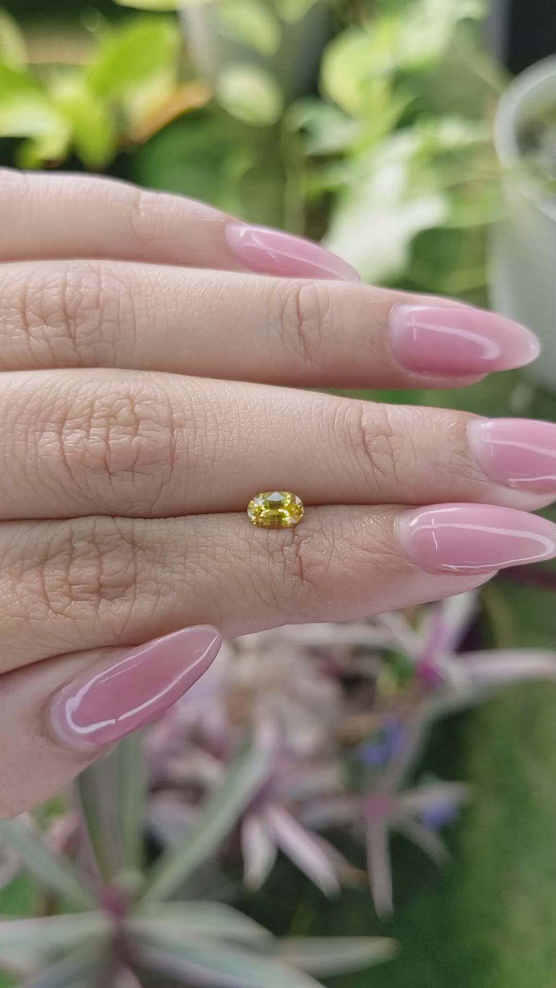 0.56 Ct. Yellow Sapphire from Ceylon (Sri Lanka) Size Video