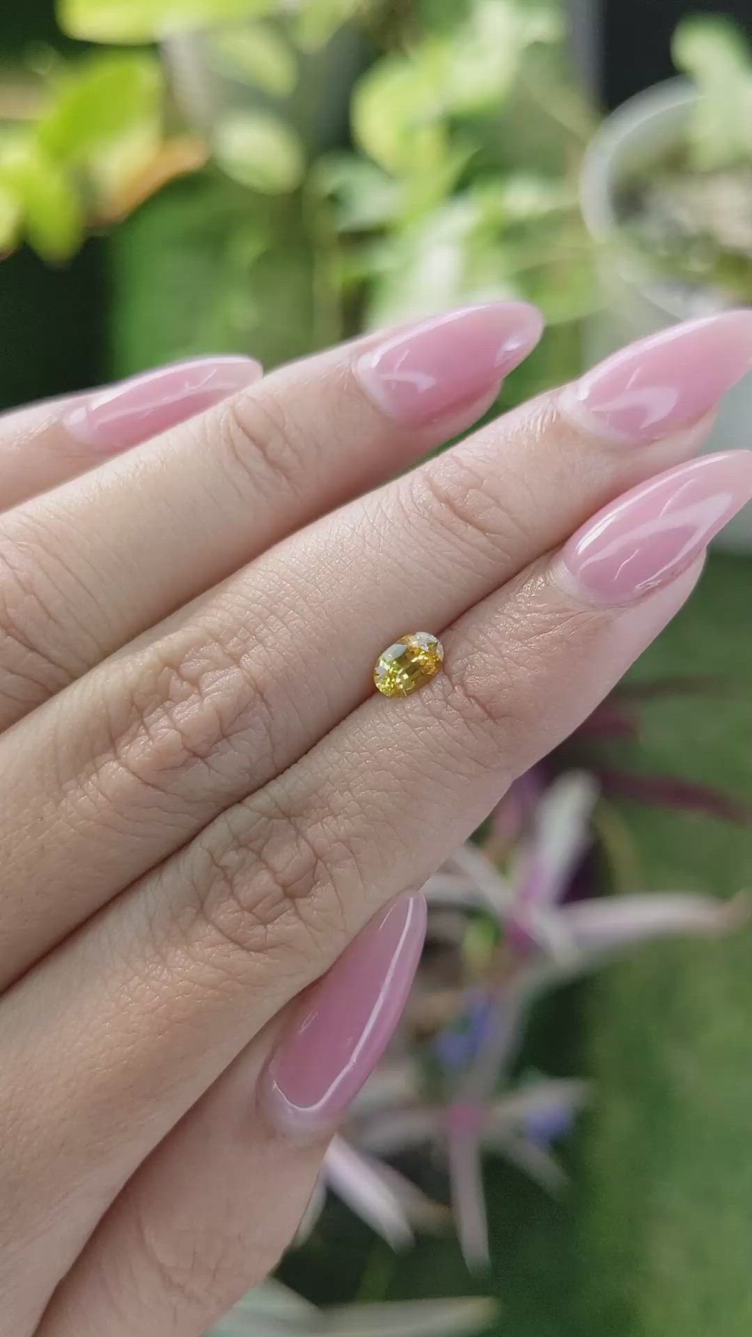 0.56 Ct. Yellow Sapphire from Ceylon (Sri Lanka) Size Video