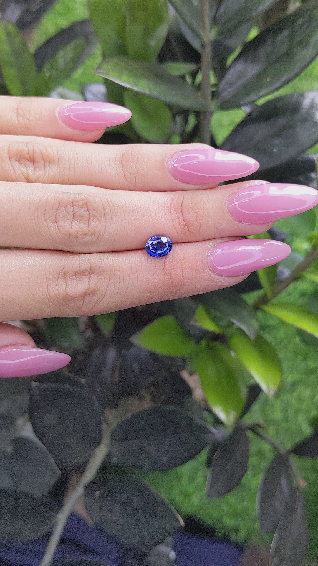 1.67 Ct. Blue Sapphire from Ceylon (Sri Lanka) Size Video