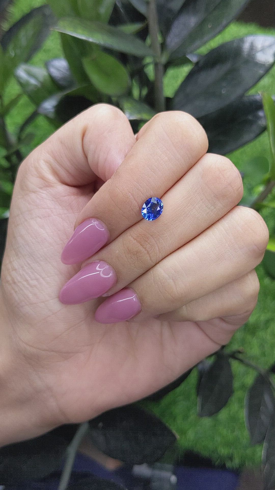 1.67 Ct. Blue Sapphire from Ceylon (Sri Lanka) Size Video