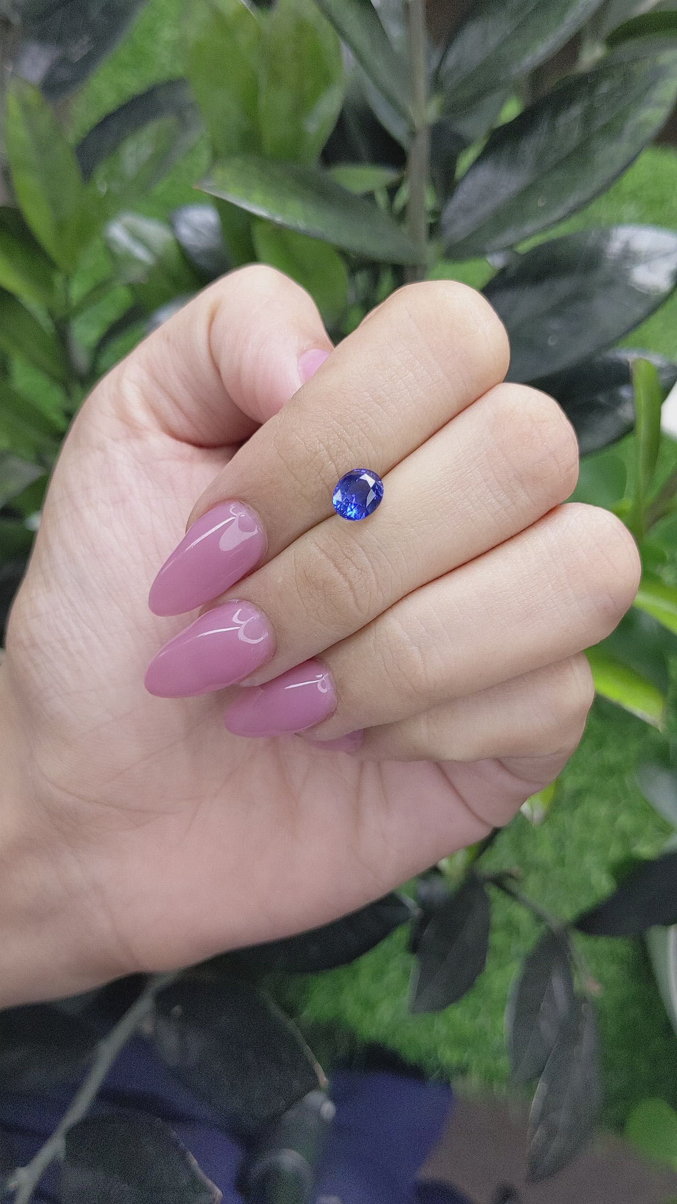 1.58 Ct. Blue Sapphire from Ceylon (Sri Lanka) Size Video