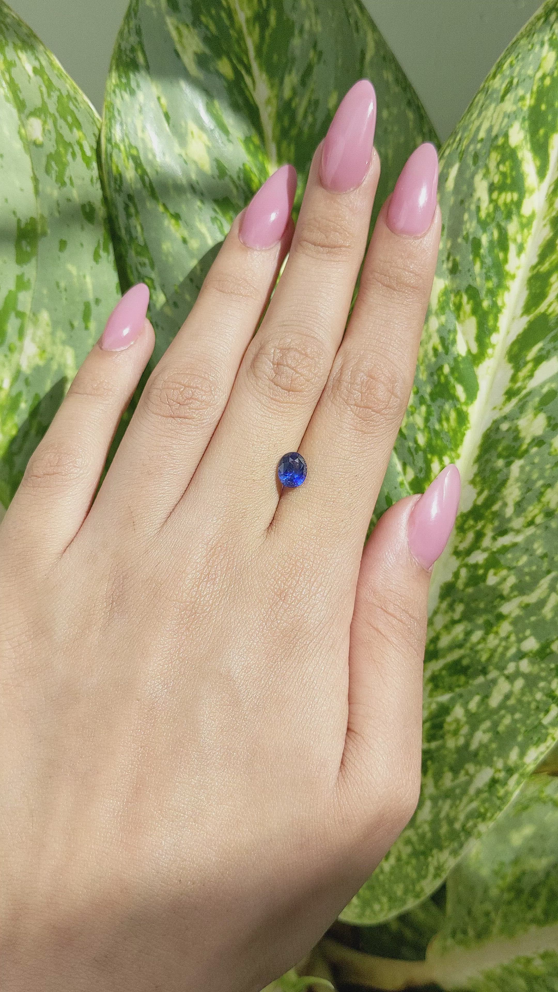 1.58 Ct. Blue Sapphire from Ceylon (Sri Lanka) Size Video