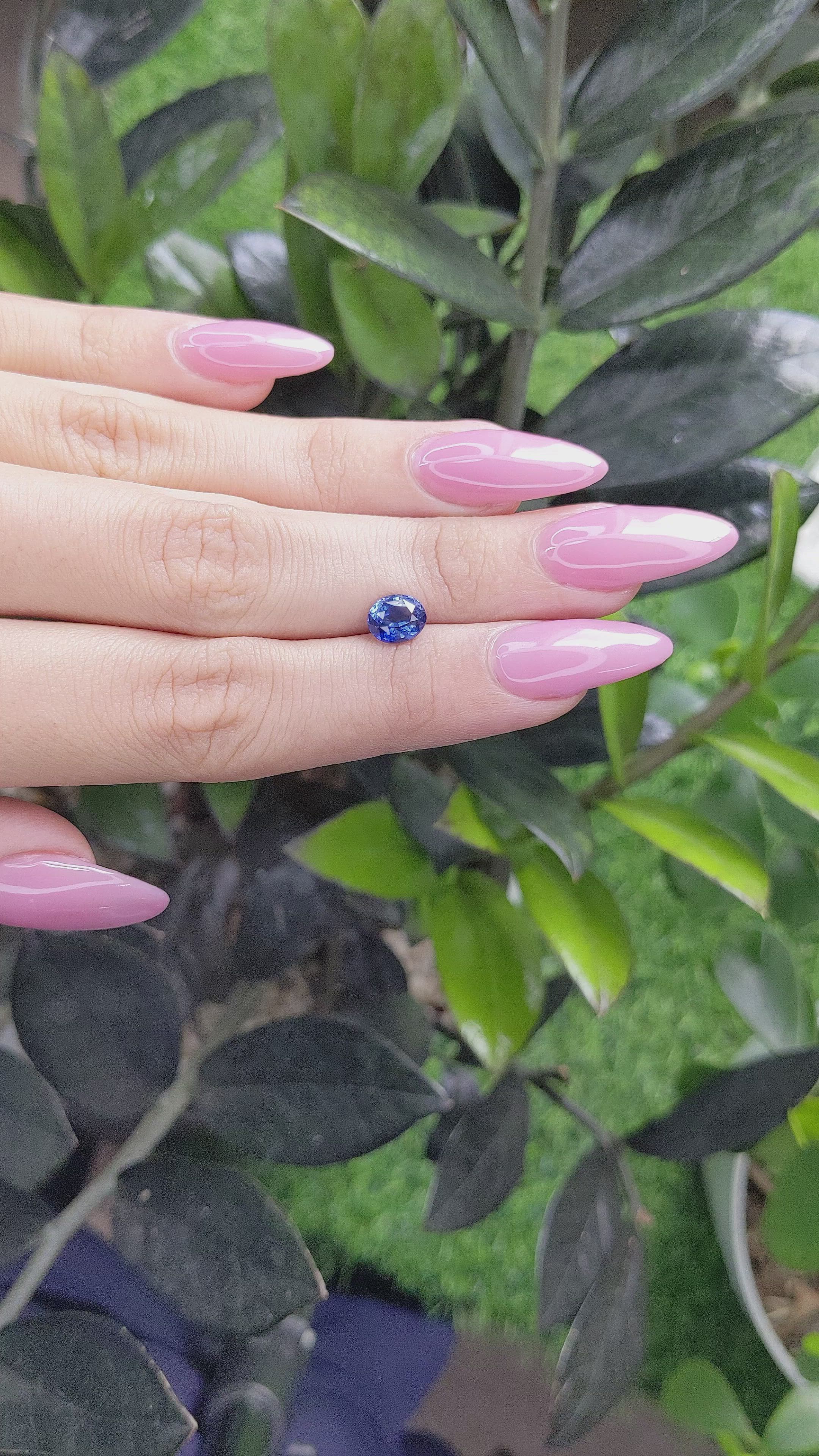 1.58 Ct. Blue Sapphire from Ceylon (Sri Lanka) Size Video