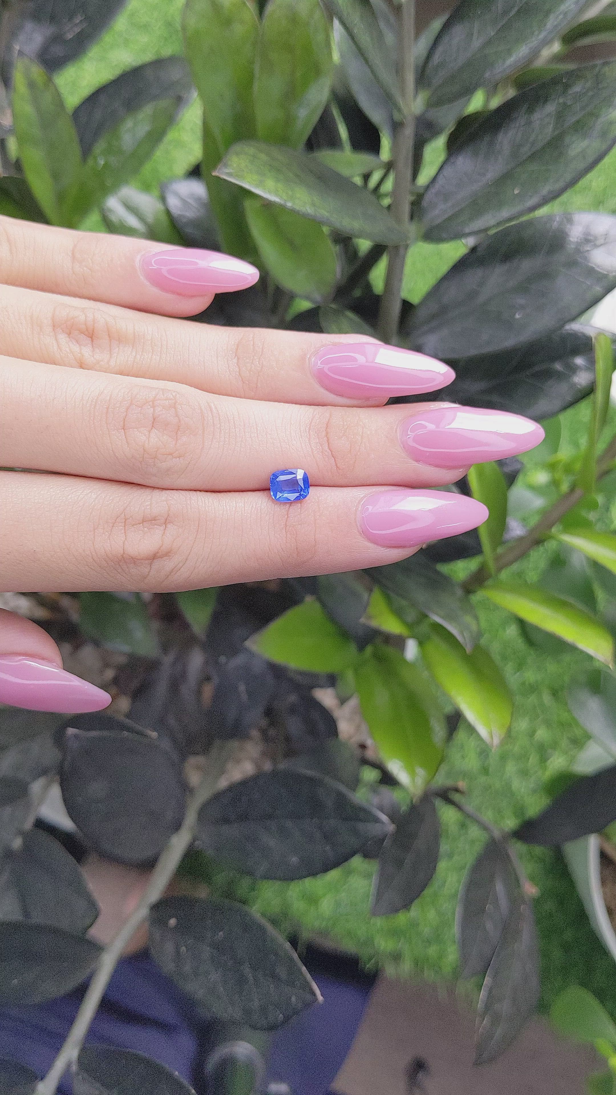 1.15 Ct. Blue Sapphire from Ceylon (Sri Lanka) Size Video