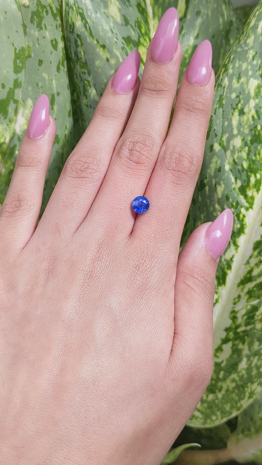 1.81 Ct. Blue Sapphire from Ceylon (Sri Lanka) Size Video