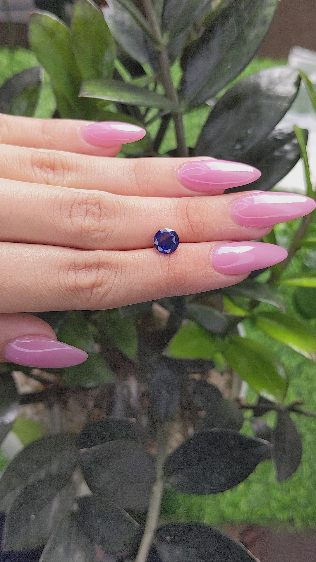 1.73 Ct. Blue Sapphire from Ceylon (Sri Lanka) Size Video