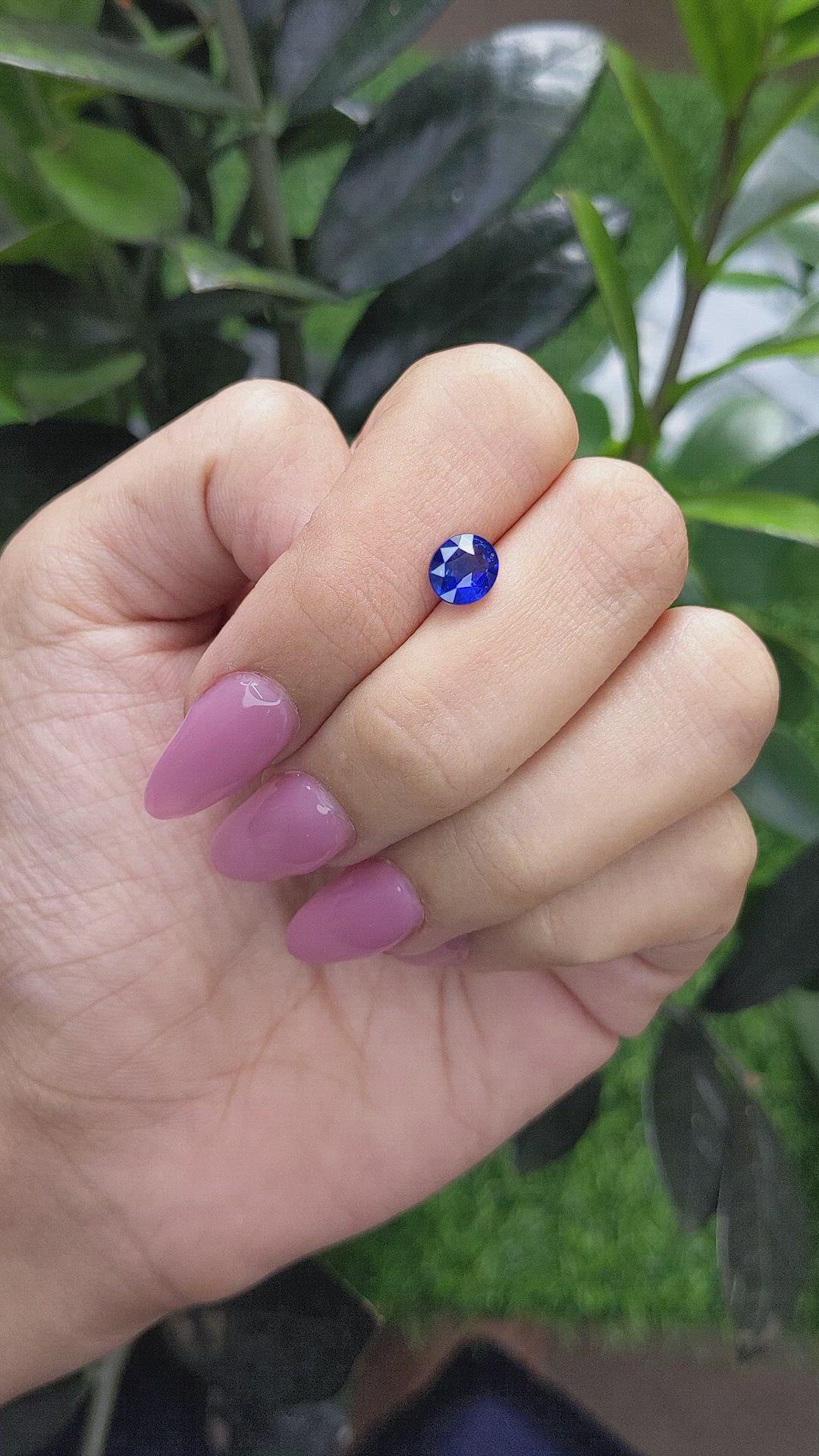 1.65 Ct. Blue Sapphire from Ceylon (Sri Lanka) Size Video