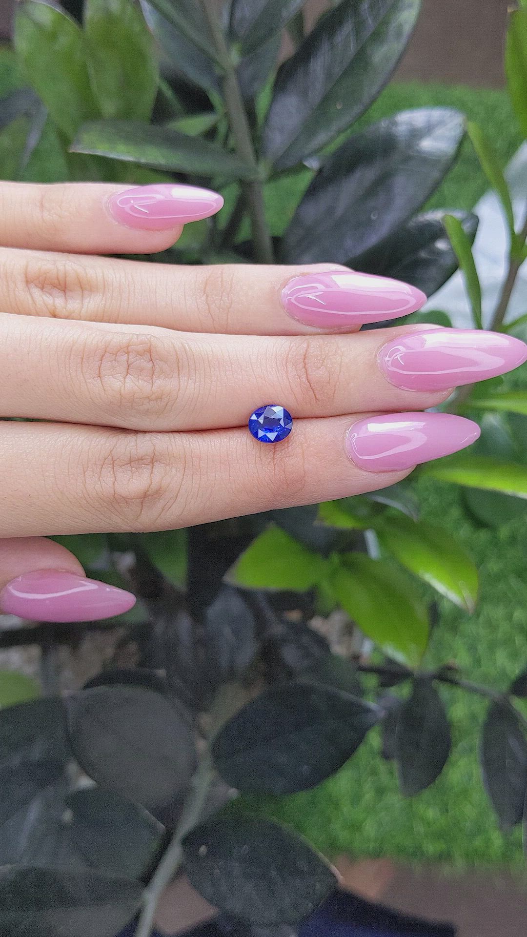 1.65 Ct. Blue Sapphire from Ceylon (Sri Lanka) Size Video