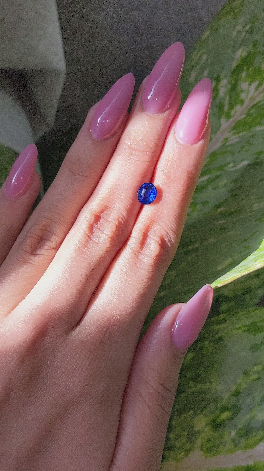 1.65 Ct. Blue Sapphire from Ceylon (Sri Lanka) Size Video