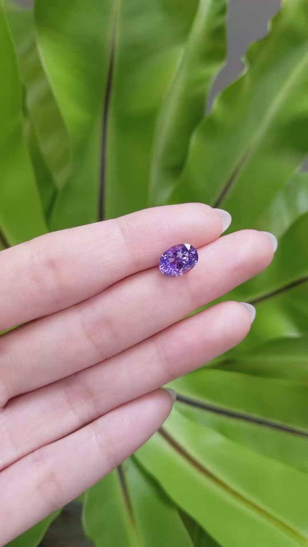 4.06 Ct. Purple Sapphire from Ceylon (Sri Lanka) Size Video