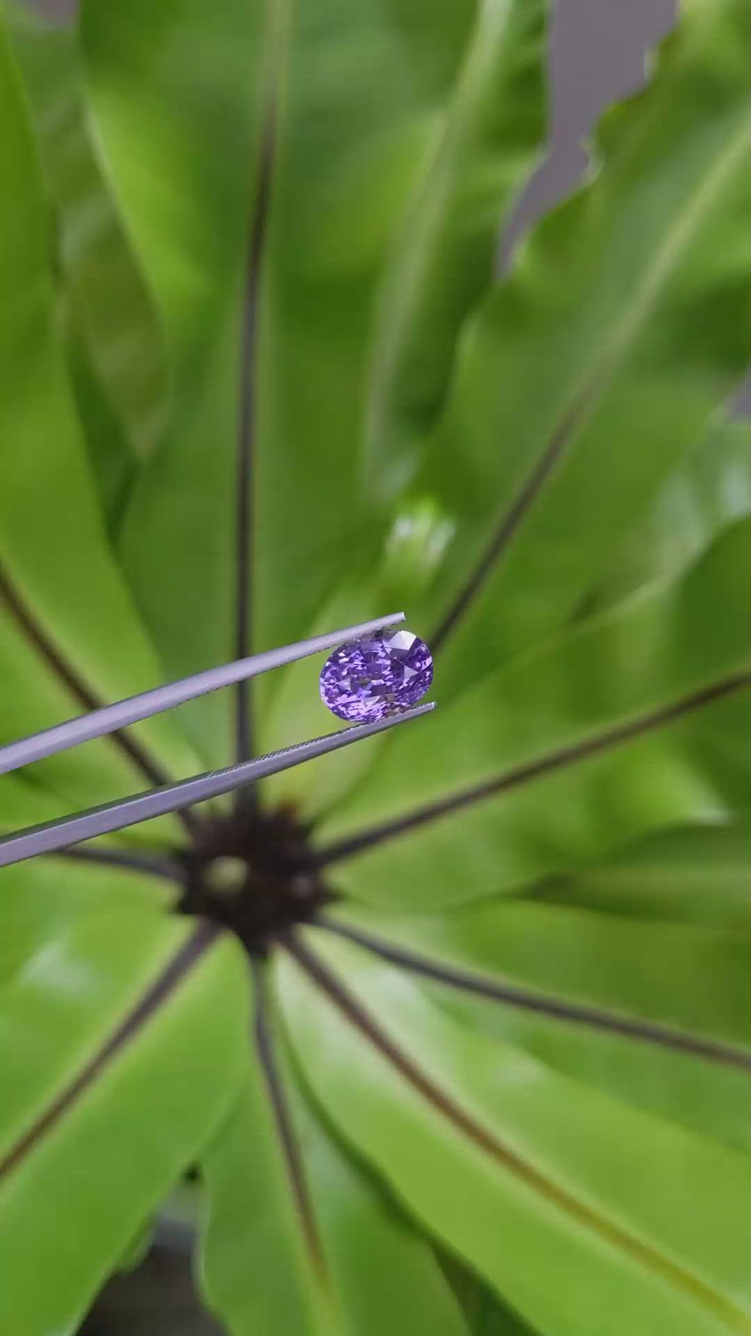 4.06 Ct. Purple Sapphire from Ceylon (Sri Lanka) Size Video