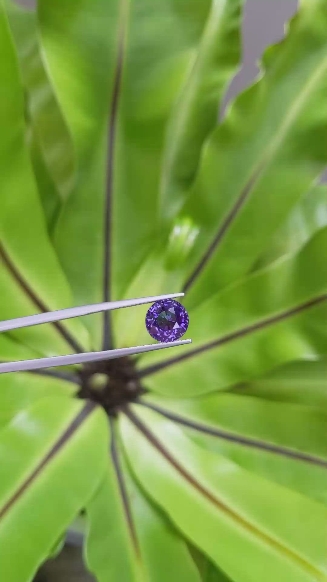 4.60 Ct. Bluish Purple Sapphire from Ceylon (Sri Lanka) Size Video